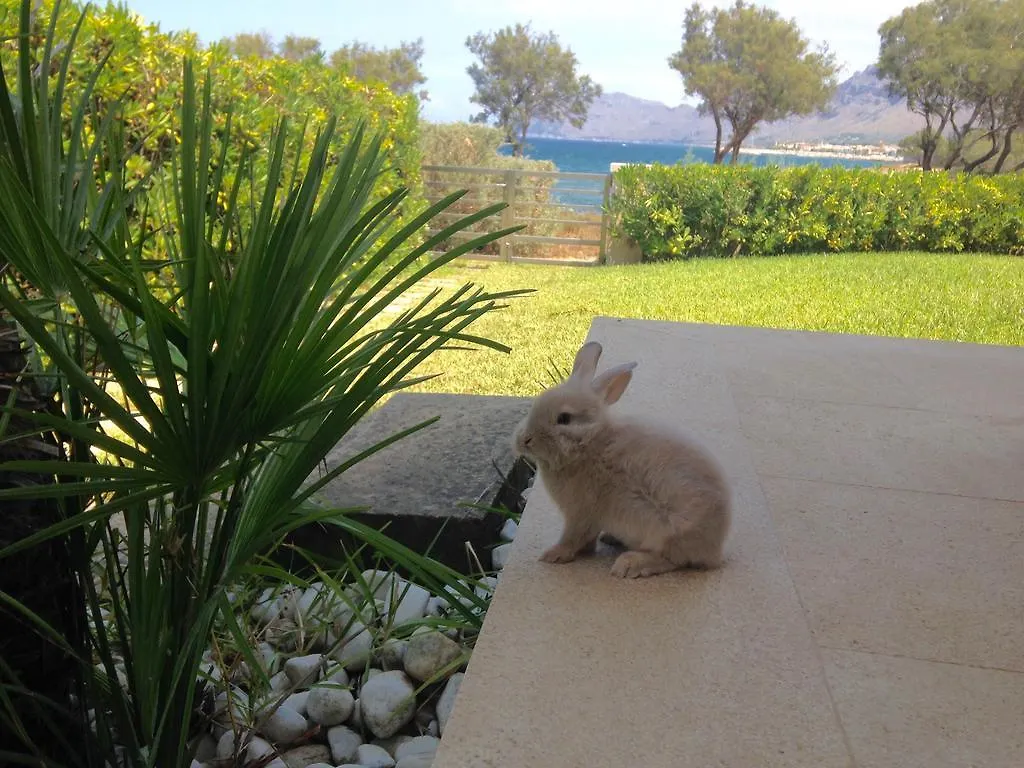 Villa Cala Tono Colonia de Sant Pere Spain